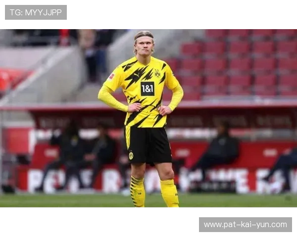 德甲多特反击速度惊人,前锋把握住节骨眼